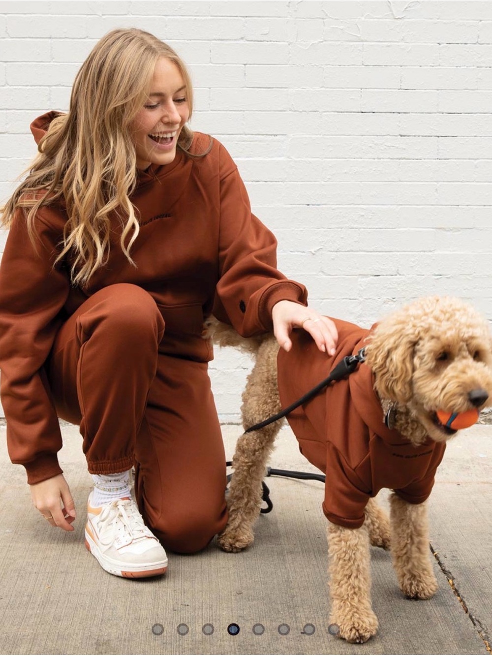 Matching Owner and Dog Hoodies in Rust Brown - Cozy Pet Sweatshirt